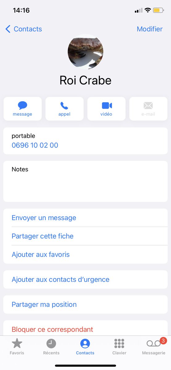 Junior Paquito tweet media