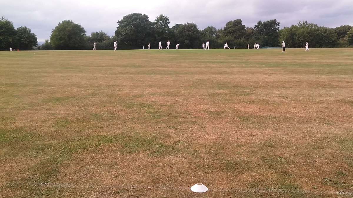 Ian Palmer tweet media