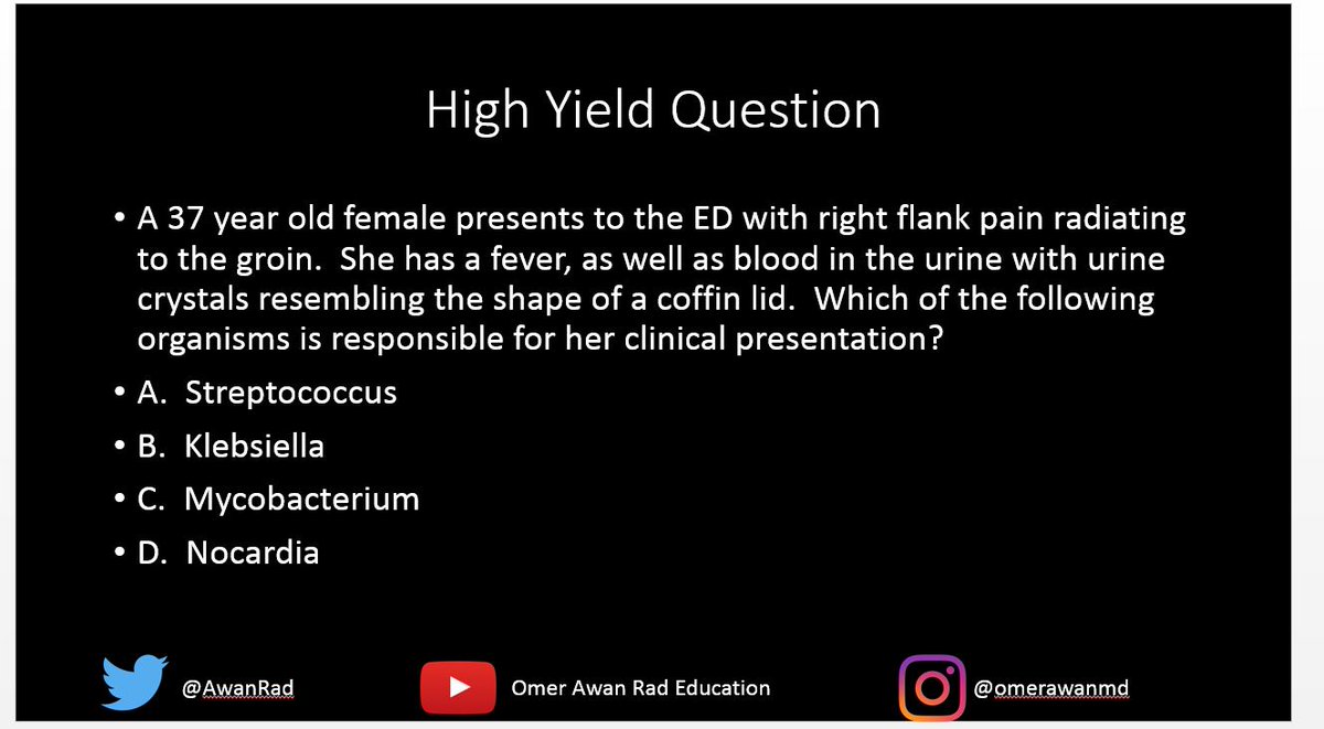 AwanRad's tweet photo. USMLE VIDEO #23- Kidney Stones!  https://t.co/lMoc8Rus7O.  #MedEd #MedTwitter @mahad_minhas @Arifus_Musae @AMunirDO @TLHM_MD @BhavyaRehaniMD @maddiepurcell20 @jocelynwu94 @safarini_omar @theomarahmed @TrishaMiglani @Schledwitz_A @js_vora @RadApplWG @FutureGenSurg @USMLEStepStudy https://t.co/dKPlpeYJ00