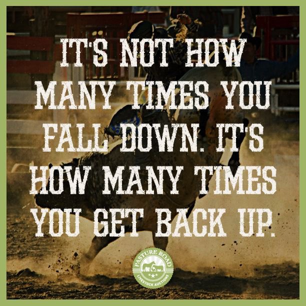 TheKristenKae's tweet photo. It’s not how many times you fall down. It’s how many times you get back up 🐎 #thekristenkae #keepgoing #getbackonthehorse #itsokaytofall #itsokaytomakemistakes #learning #growing #dontgiveup #dontgiveuponyourself #youareworthit #yougotthis #believeinyourself #youcandoit https://t.co/hCypDuFuX8