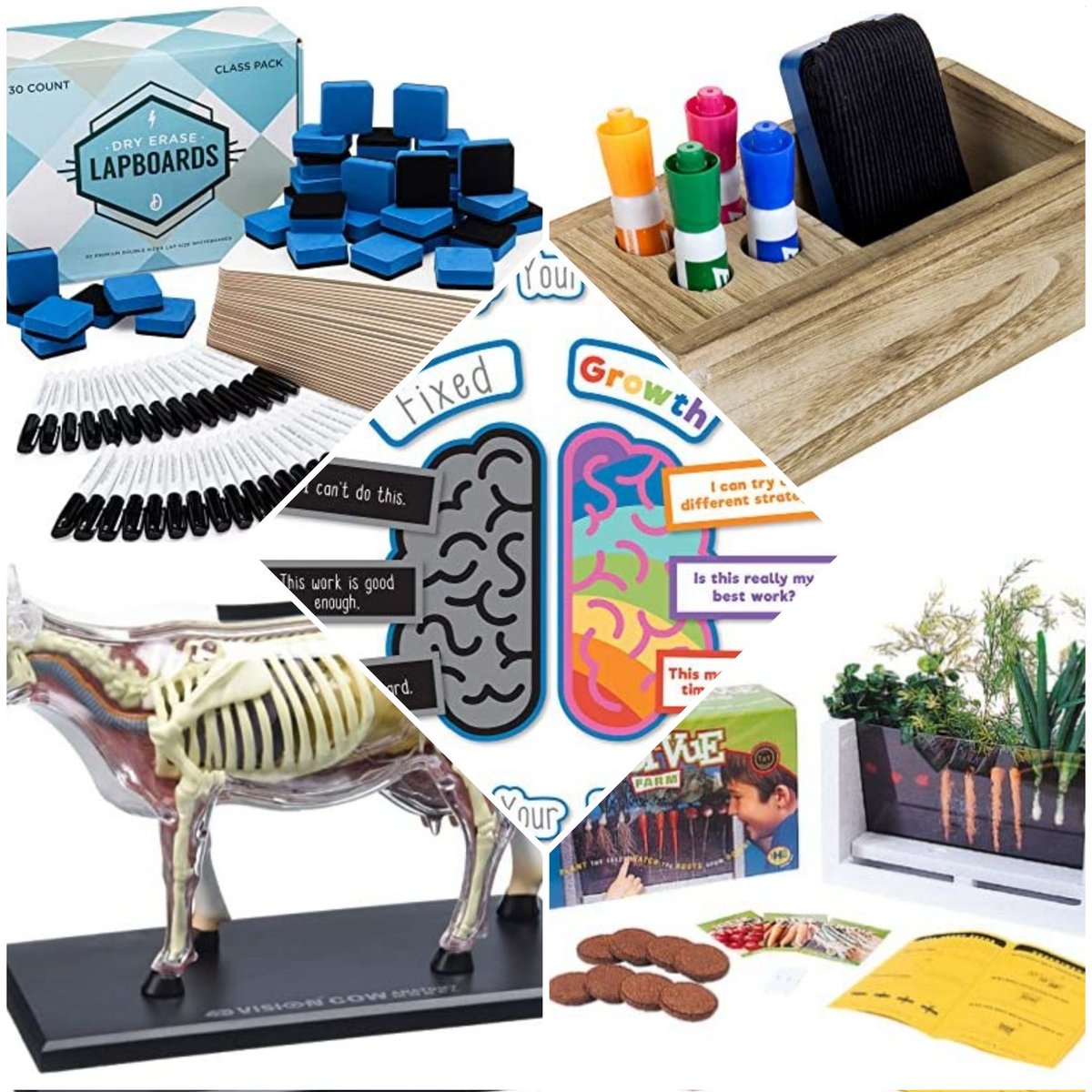 Mrs. Rasberry's Class tweet media