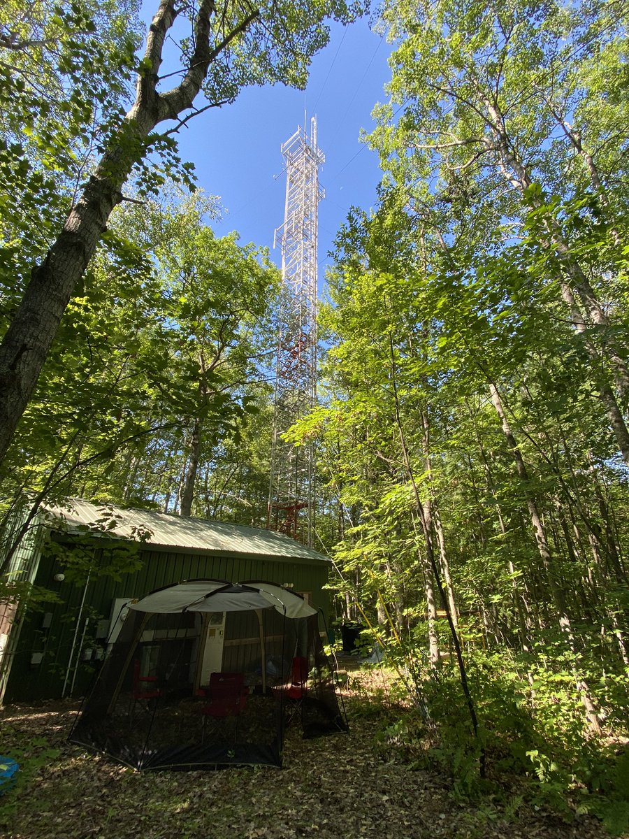 Phil Stevens tweet media