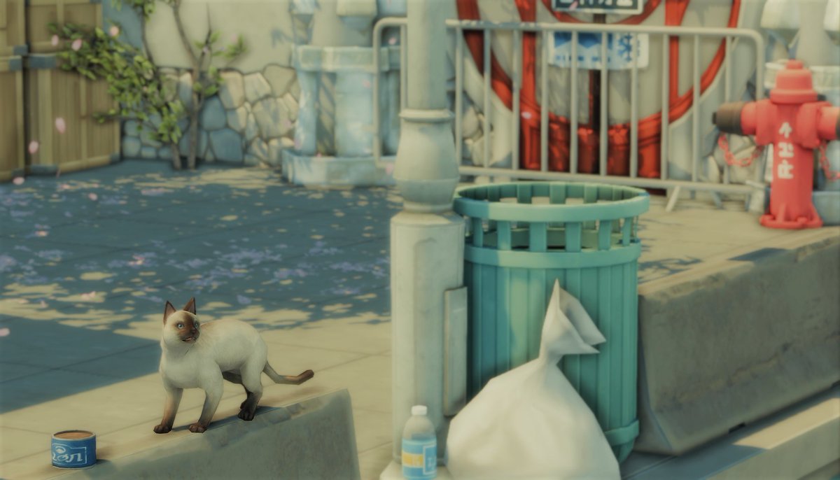 heurebleuenuit's tweet image. /ᐠ｡_｡ᐟ\
#TheSims4 #Sims4 #ShowUsYourBuilds