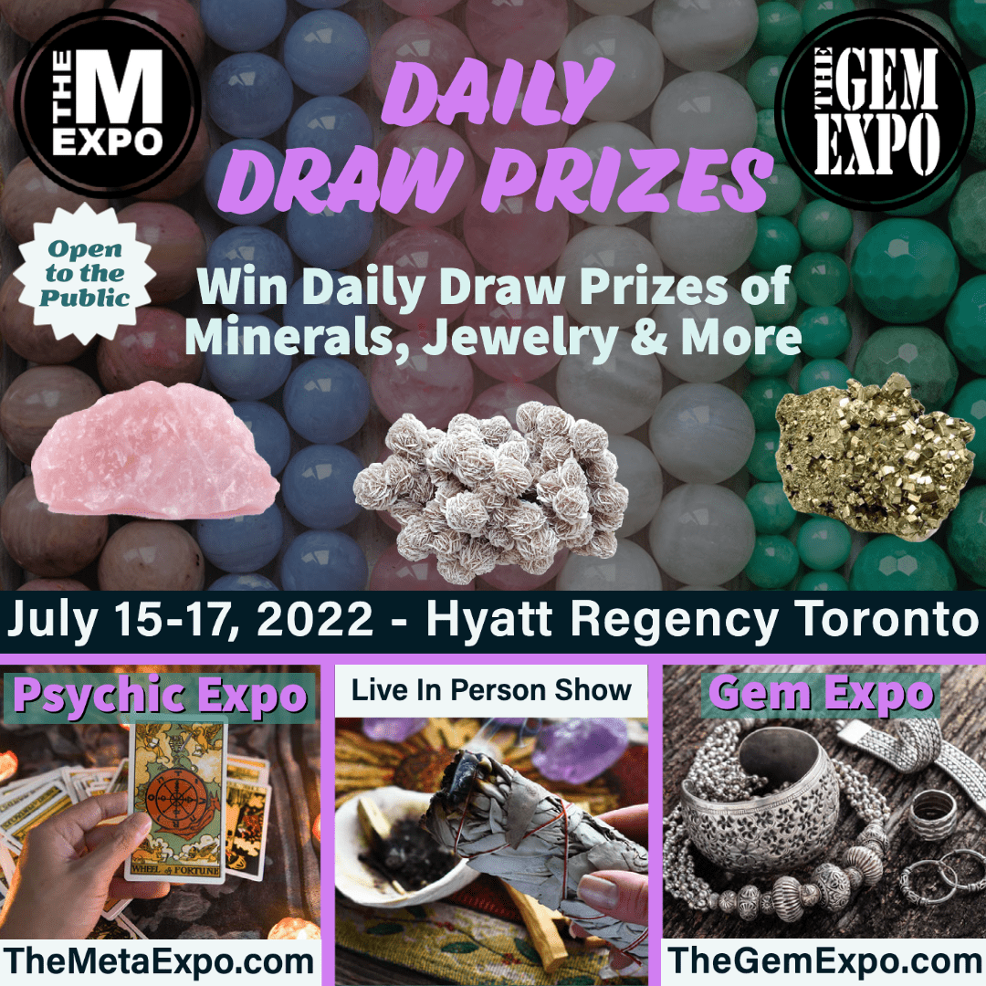 The Meta Expo tweet media