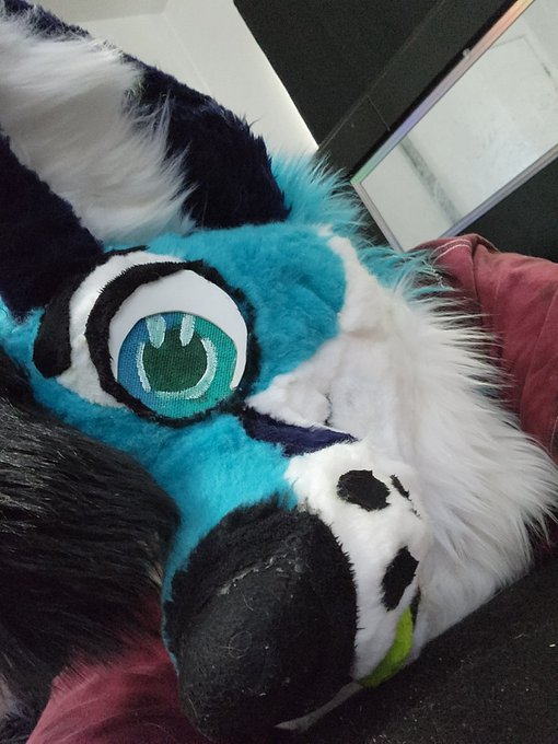 Had a good day down in Indiana, got my pettings in with my favorite guy ❤️🥺  #fursuit #furry #fursuiter<a href="/tag/furry"class="tags"><span>#furry</span></a><a href="/tag/fursuit"class="tags"><span>#fursuit</span></a><a href="/tag/fursuiter"class="tags"><span>#fursuiter</span></a>