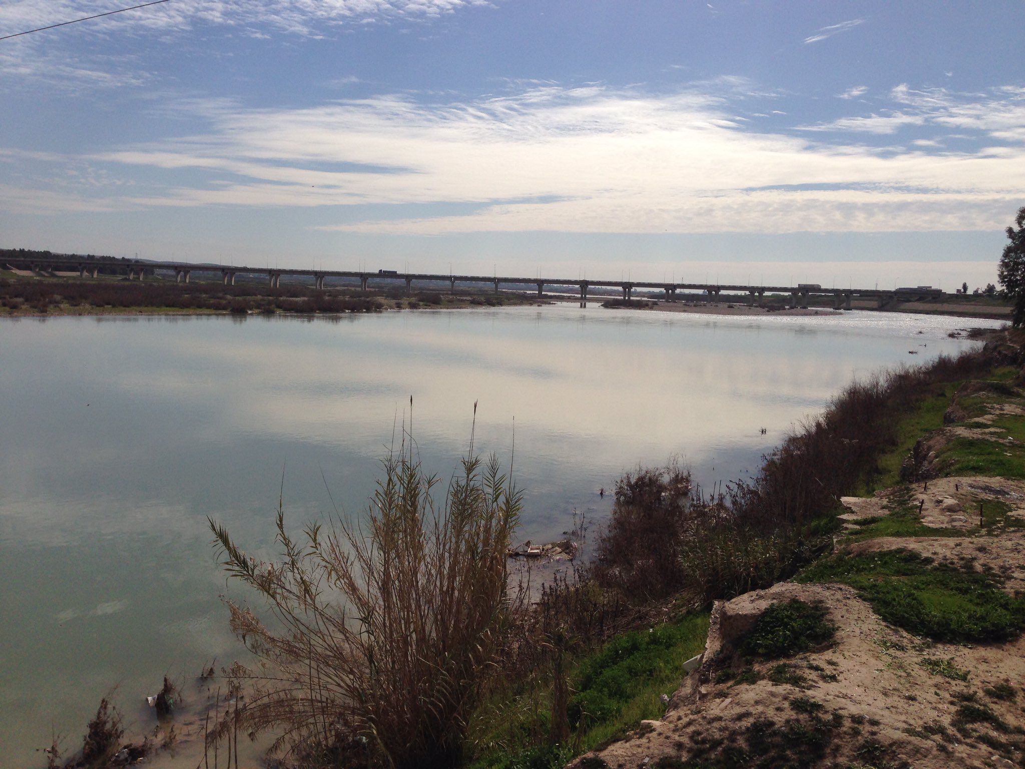 カフェバグダッド on Twitter 