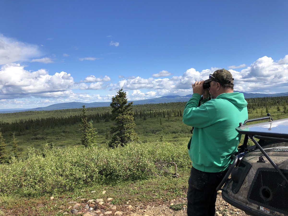 gomer2323's tweet image. Im thinking this was a wolf print. Pretty big pup out there. #HuntingPrep #WeRiding