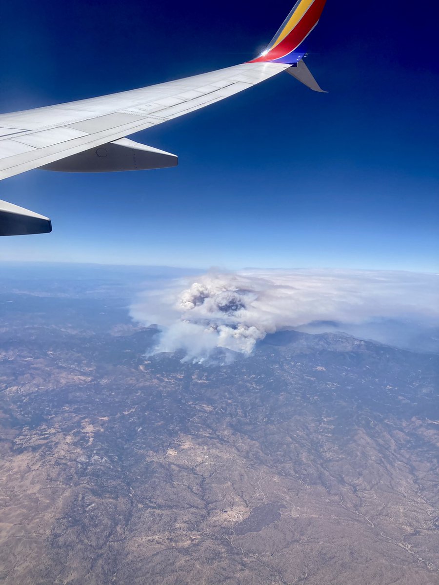 Megan Mullaly tweet media