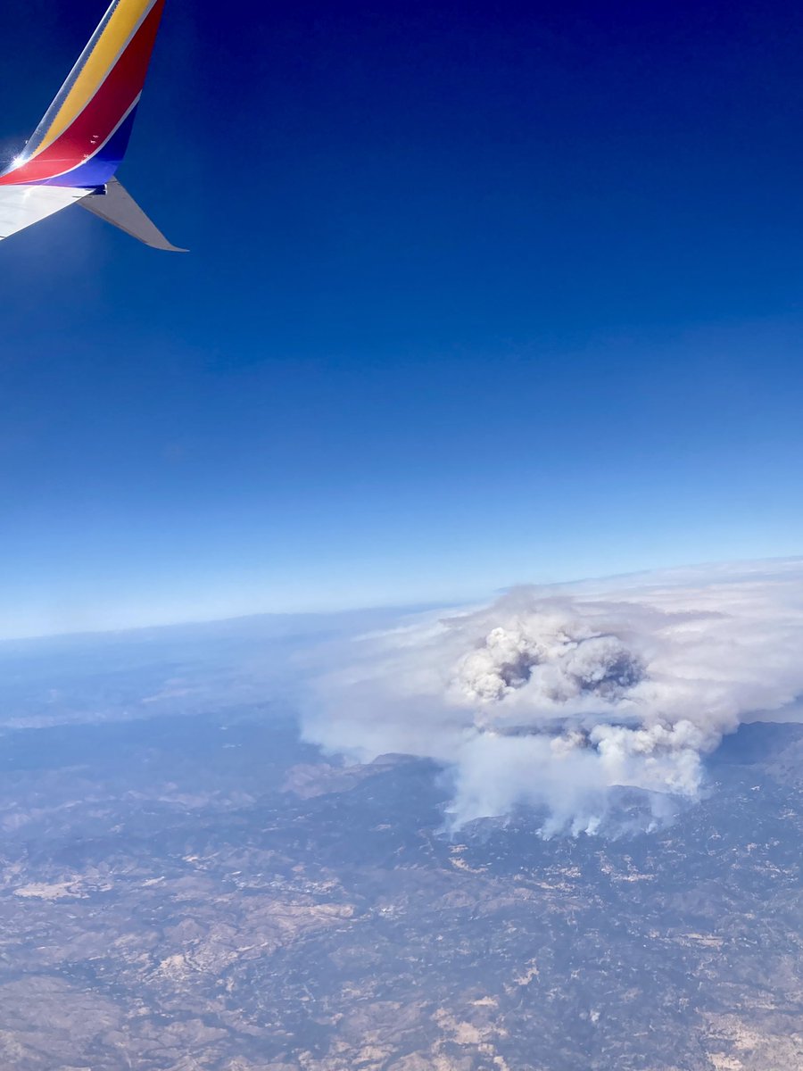 Megan Mullaly tweet media