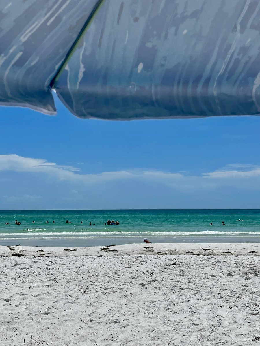 Jason McConnell tweet media