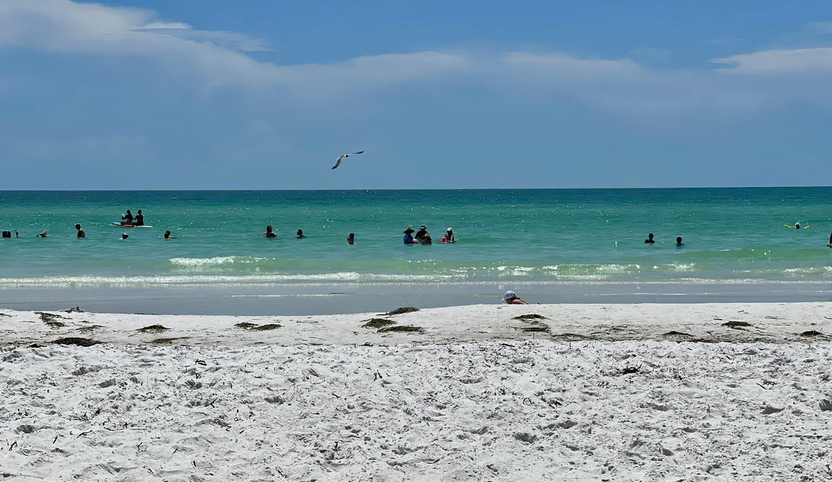 Jason McConnell tweet media