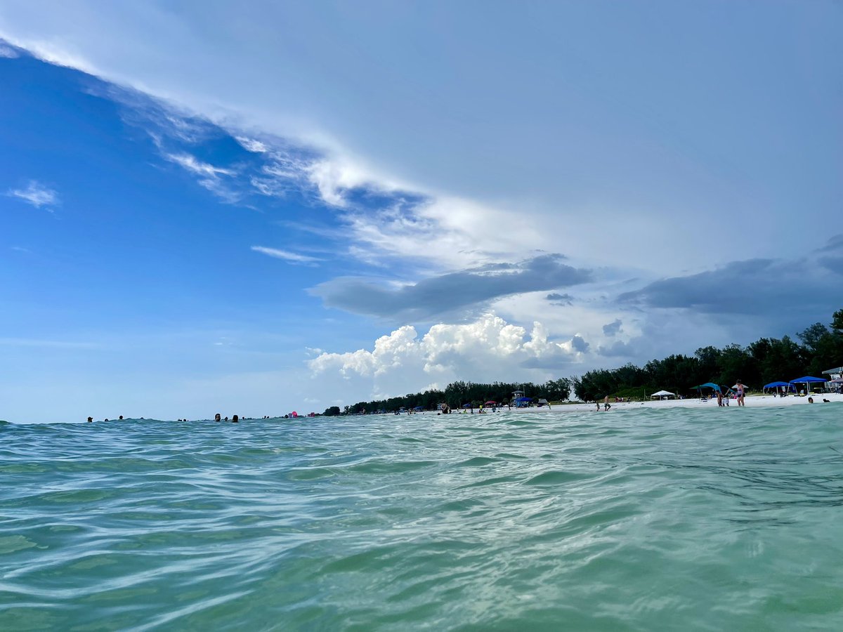 Jason McConnell tweet media