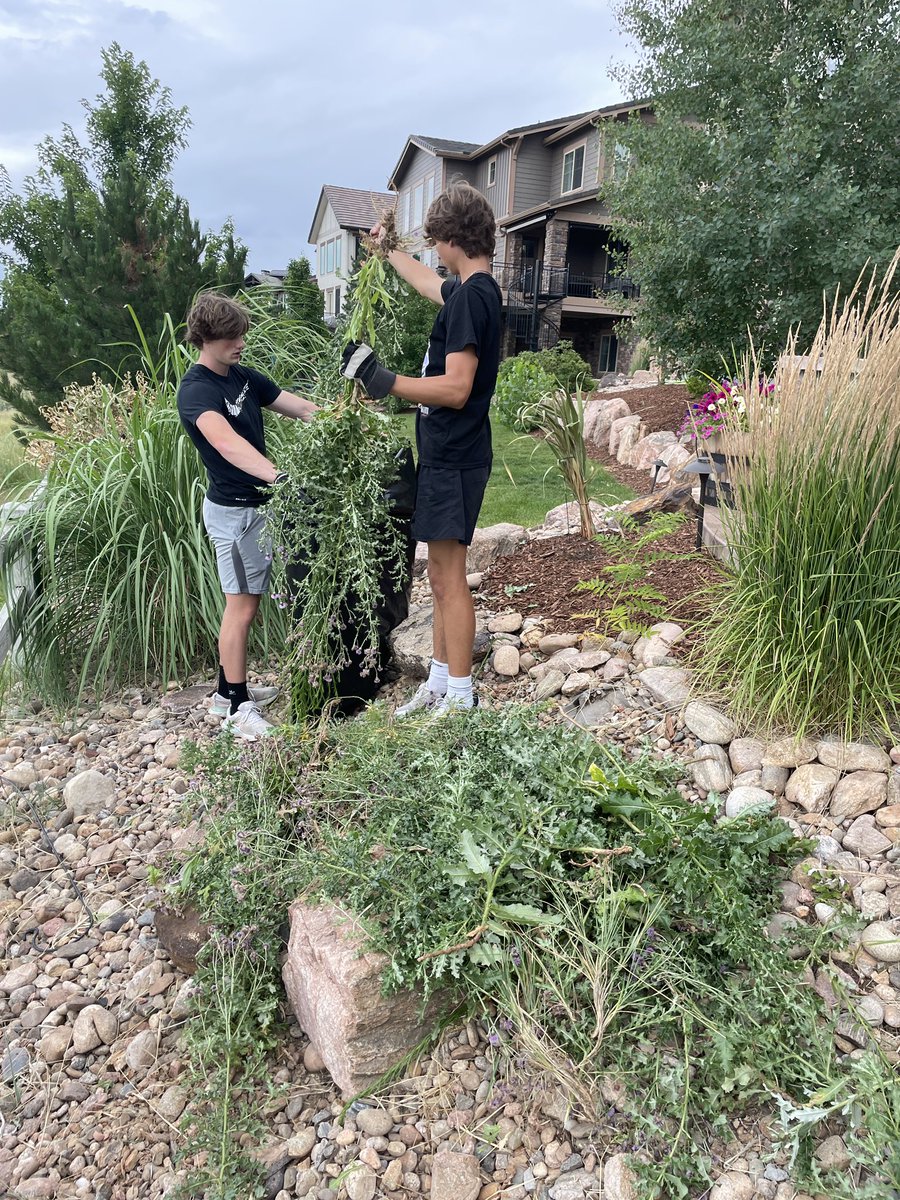 Bulky_Babes (@bulky_babes) on Twitter photo Another weeding job in the backcountry community. This one was a big one and the people were very appreciative <a href="/CoachCarnes/">Coach Carnes</a> Another weeding job in the backcountry community. This one was a big one and the people were very appreciative <a href="/CoachCarnes/">Coach Carnes</a>