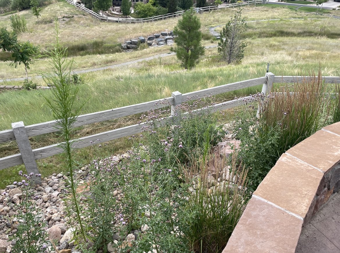 Bulky_Babes tweet media