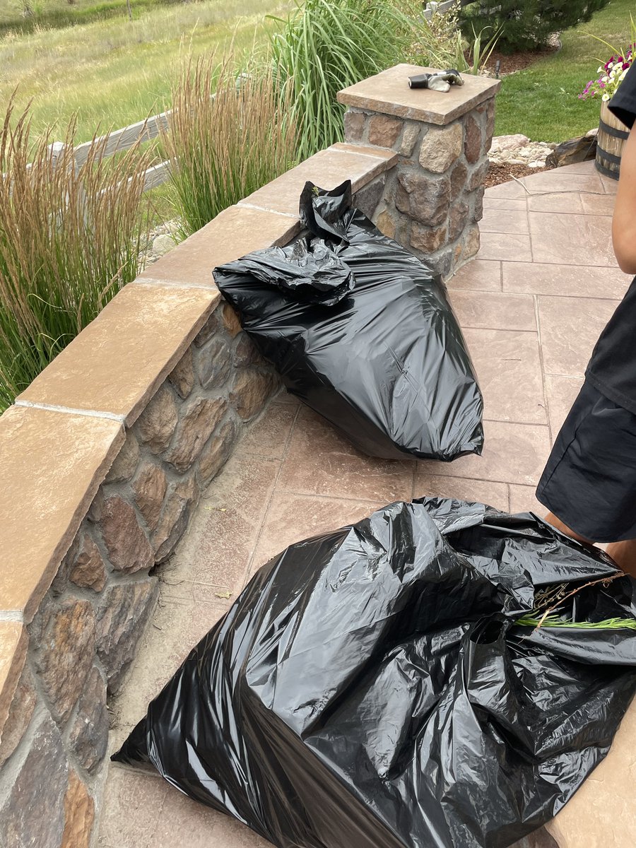 Bulky_Babes tweet media