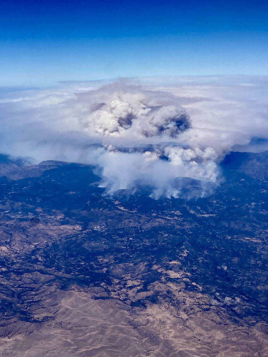 Megan Mullaly tweet media