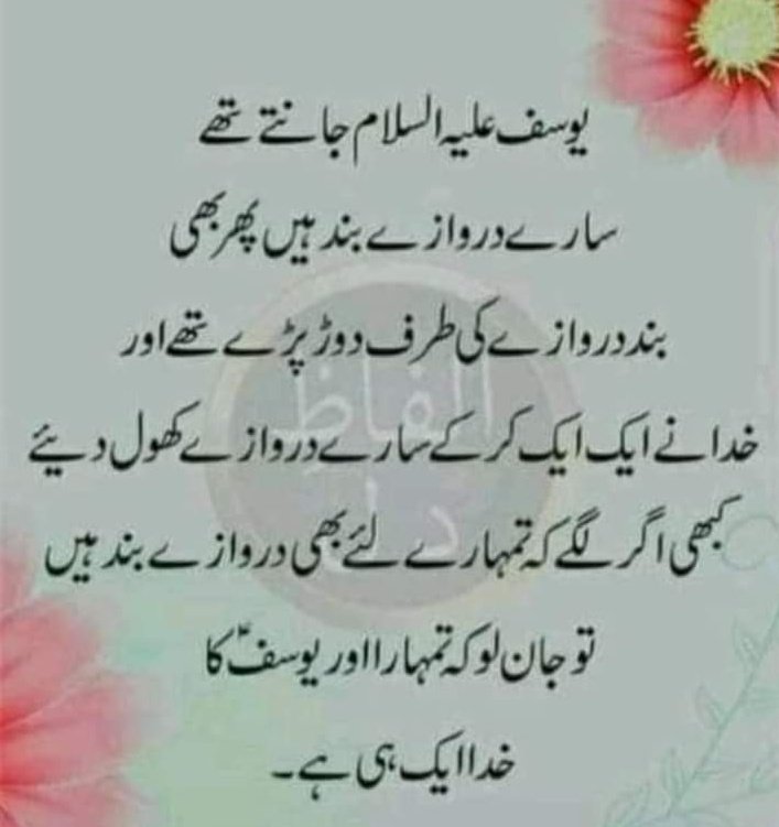 Insaf Qadir (@qadirinsaf) on Twitter photo 