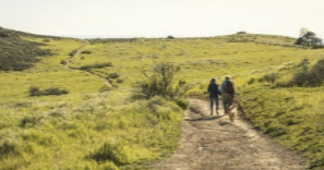 FiliceInsurance's tweet image. Health Plan’s Exclusion of Gender Affirming Care Violates Title VII and U.S. Constitution:

Read the full article by Thomson Reuters in our Weekly Digest.

hubs.li/Q01hkk780