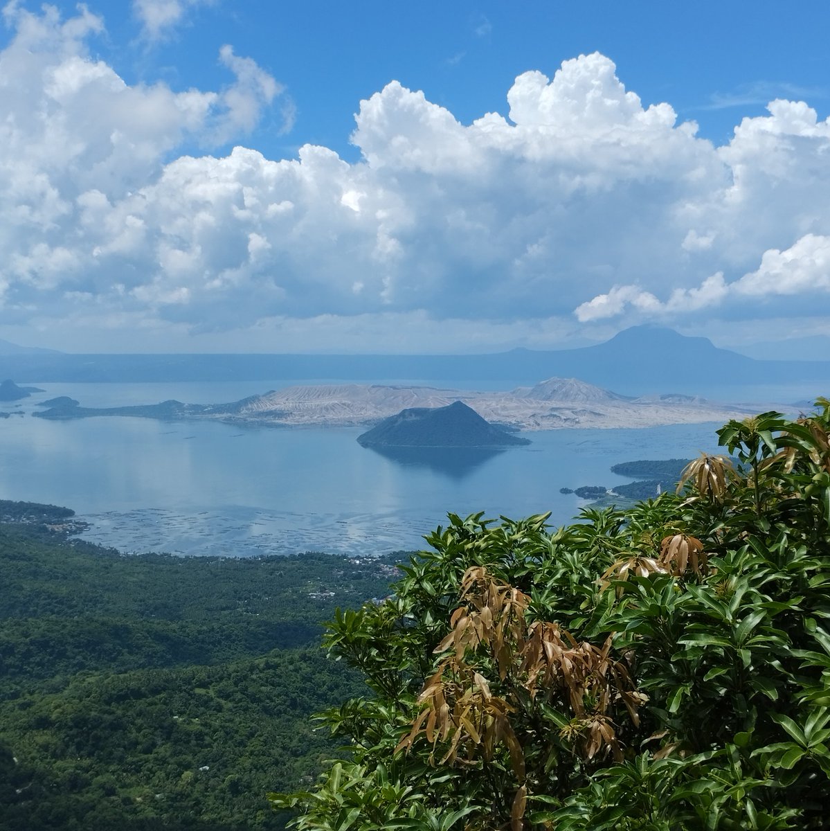 #NewProfilePic
#taal volcano
#1strides2022
😍😍