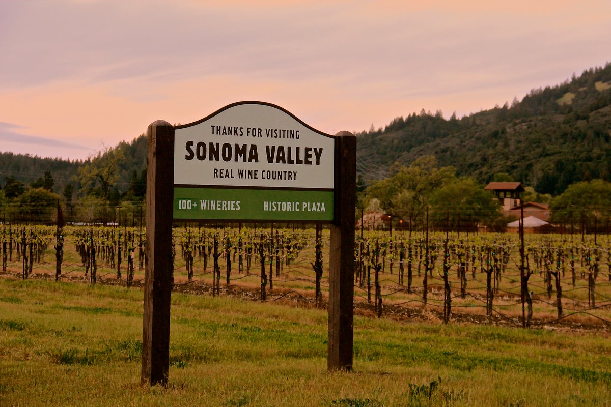 We still have a few spots left for the last few days of July! Book your Combo Napa/Sonoma wine tour today at greendreamtours.com #napa #sonoma #wine #winery #tourism #vacationideas #sanfrancisco #winecountry #california