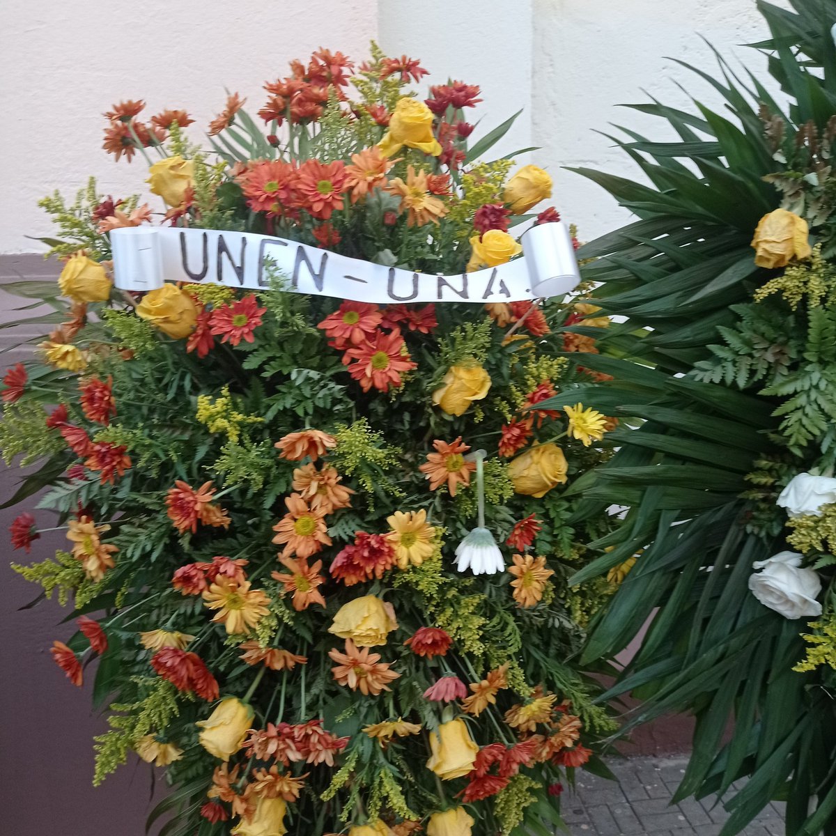 #FSLNVivanLosEstudiantes || ofrendas florales en el monumento que se encuentra en el centro Universitario de León, CUUN León hacia los héroes y mártires de la Masacre Estudiantil. 

#PLOMO19