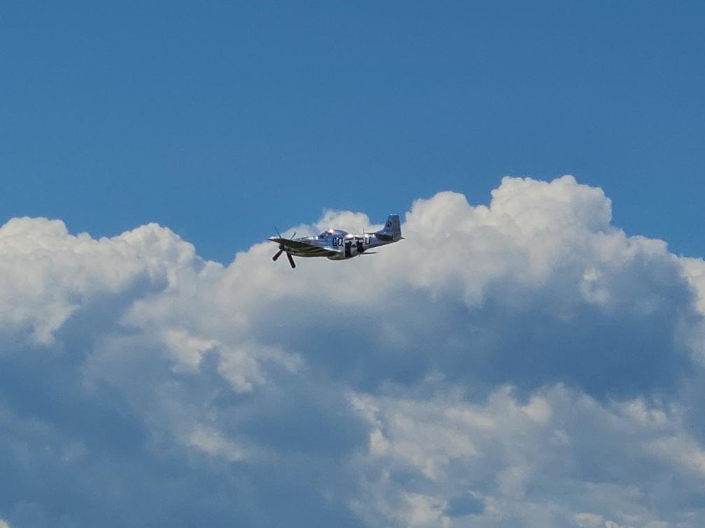 leafcutterguy's tweet photo. #wingsoverspringbank https://t.co/t4LXOFWpF1