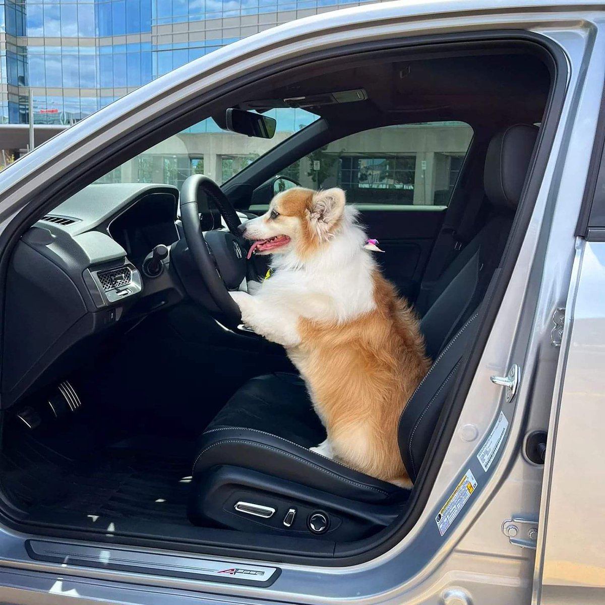 kimchithecorgi's tweet photo. πΆπΎ Everyone is at @IMPORTFEST_2022 this weekend but the real star π is here π @AcuraCanada @Acura @AcuraConnected
#nextgenintegra #integra2023 #DE4 #VTEC #Turbo #lunarsilver #importfest #importfest22 #carbonfiber #projectintegra #Toronto #corgi #fluffycorgi #Kimchithecorgi https://t.co/c2of76BzQM