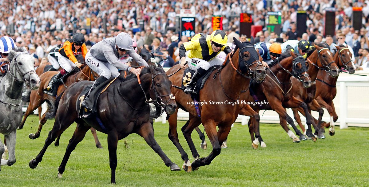 Steven_Cargill's tweet photo. 3rd win for 5yo g FRESH in £150k 7f International Handicap @Ascot today for @JuddmonteFarms Bated Breath @james_fanshawe https://t.co/QaXSY5oI1B