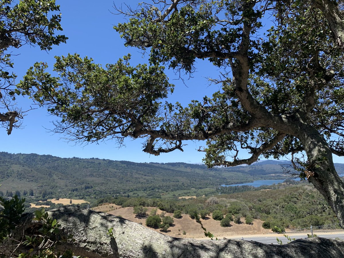 3c_joseph's tweet photo. View of Crystal Spring reservoir from Percival Memorial Vista Point https://t.co/Kgu6ASeHu0
