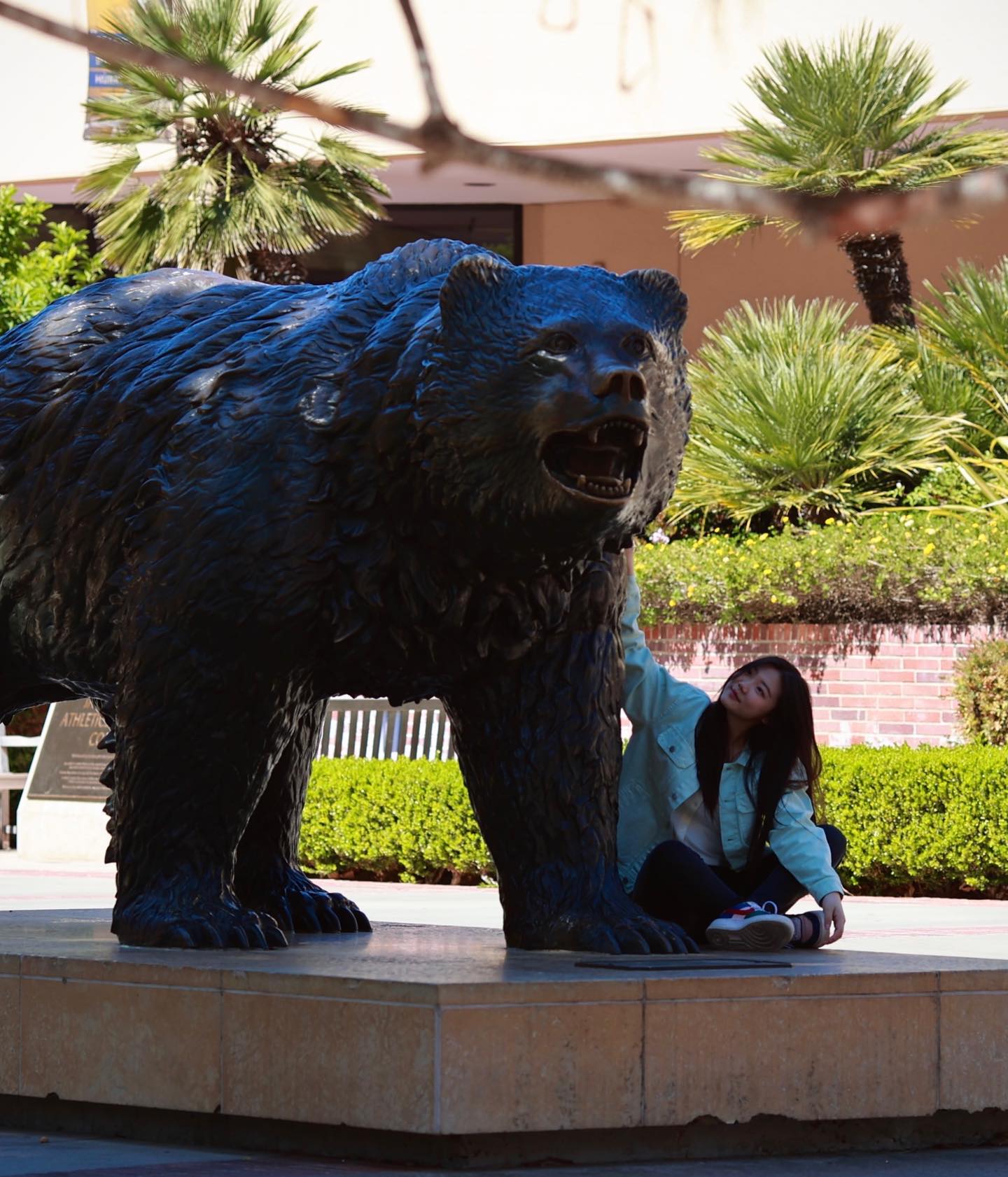 Ucla Ucla