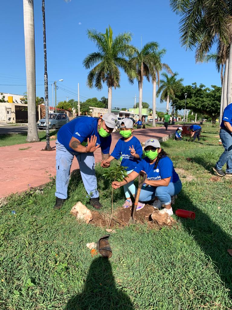 RedAmbiental_Mx's tweet photo. Con la plantación de estos arboles generamos más espacios verdes que contribuirán a mejorar nuestro entorno.🌎✅
#RedAmbiental #SomosMuchoMasquelosdelaBasura #Redforestando #MedioAmbiente #Ecologia https://t.co/jt8iUxcaay