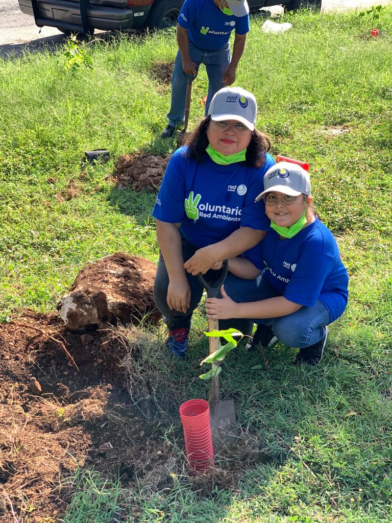 RedAmbiental_Mx's tweet photo. Con la plantación de estos arboles generamos más espacios verdes que contribuirán a mejorar nuestro entorno.🌎✅
#RedAmbiental #SomosMuchoMasquelosdelaBasura #Redforestando #MedioAmbiente #Ecologia https://t.co/jt8iUxcaay
