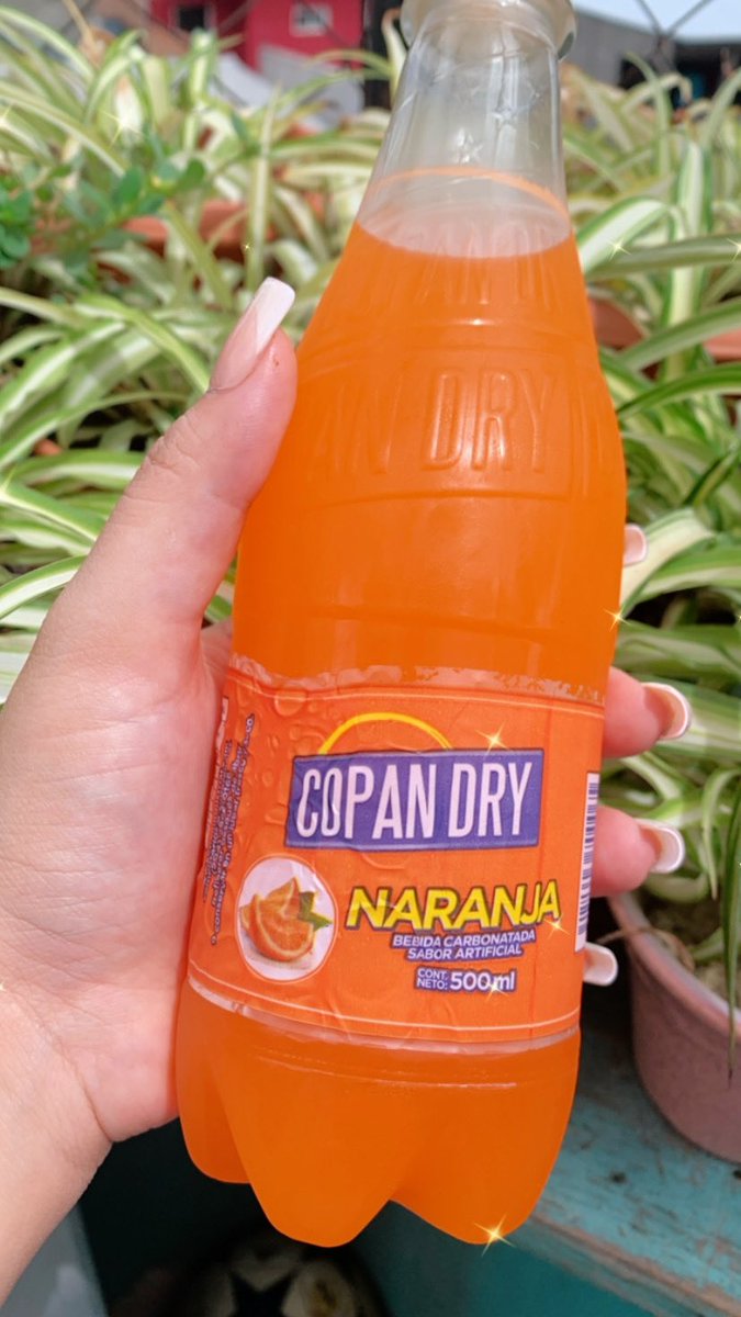 Astridlopezhn's tweet photo. Desde Copan #copandry 😍 https://t.co/pYlKhR2JOB