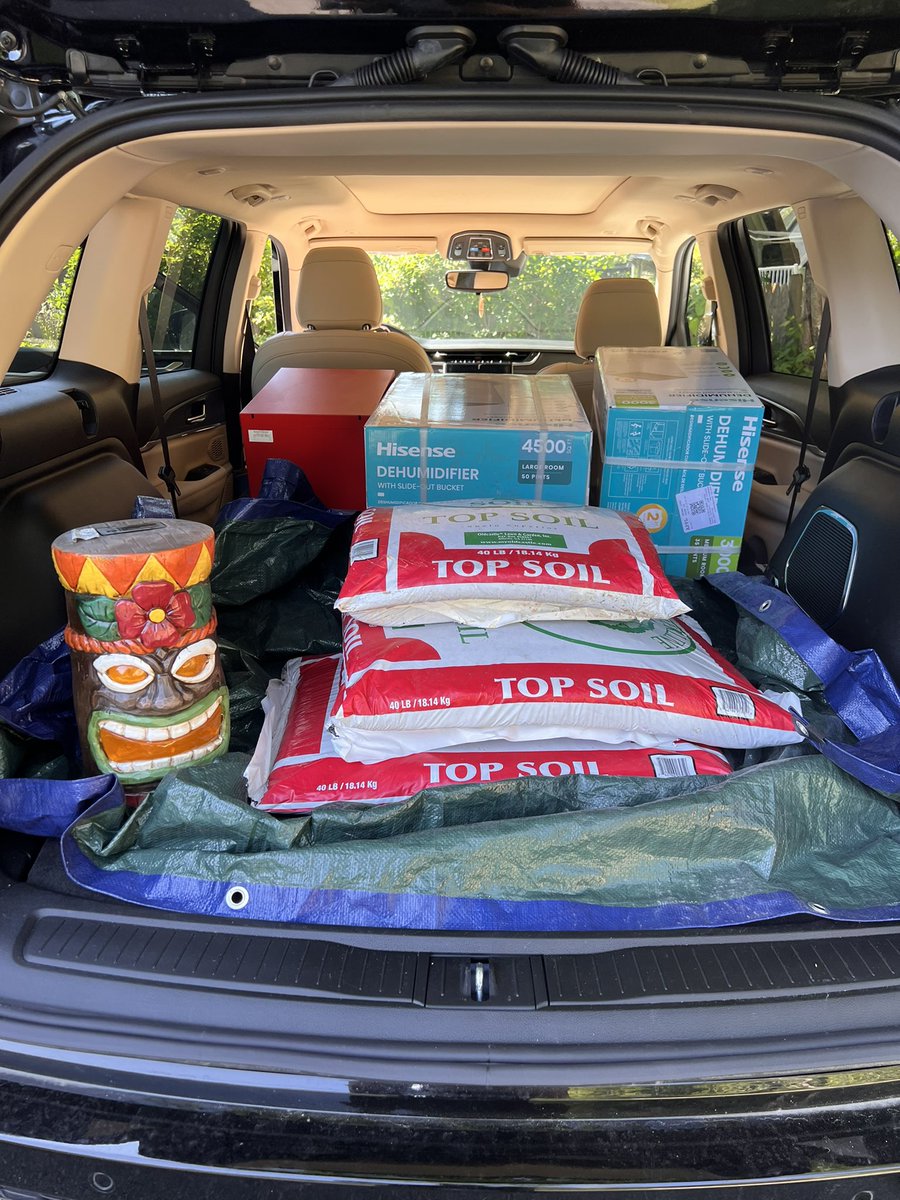 avi 🌴 tweet media