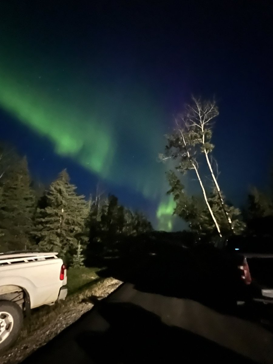 missramstead's tweet photo. I love the north 💚 https://t.co/9bSXqq8HAi