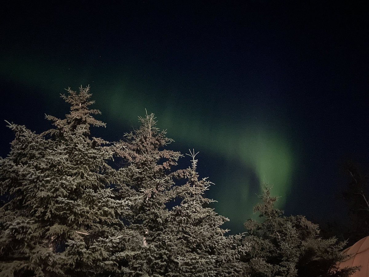 I love the north 💚