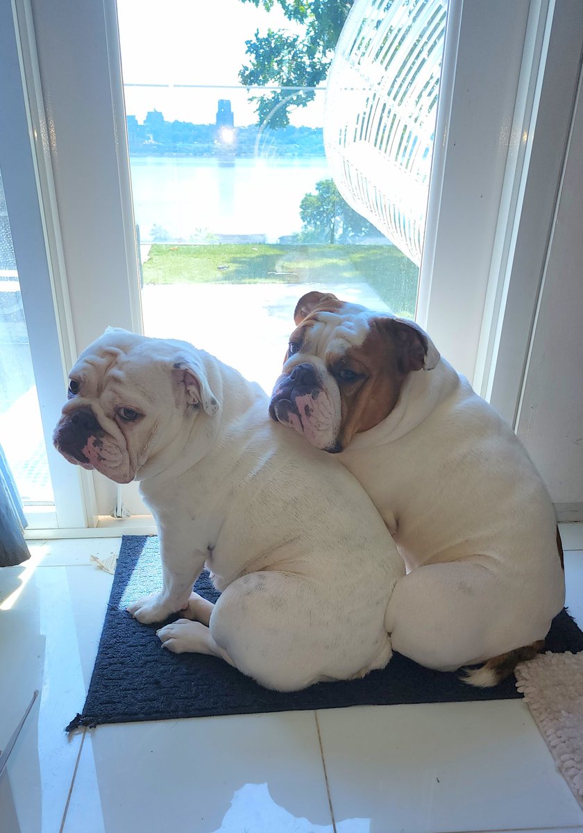 Going through a heat wave in NJ.. too hot to go outside 😒