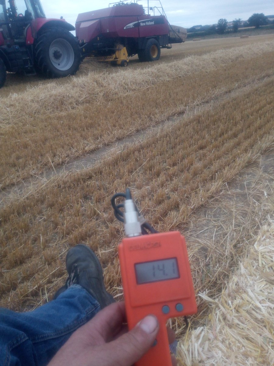 SpudSlingsby's tweet image. Back to the baler, cut this on Wednesday #itsgoingtorain #footdownsaturday