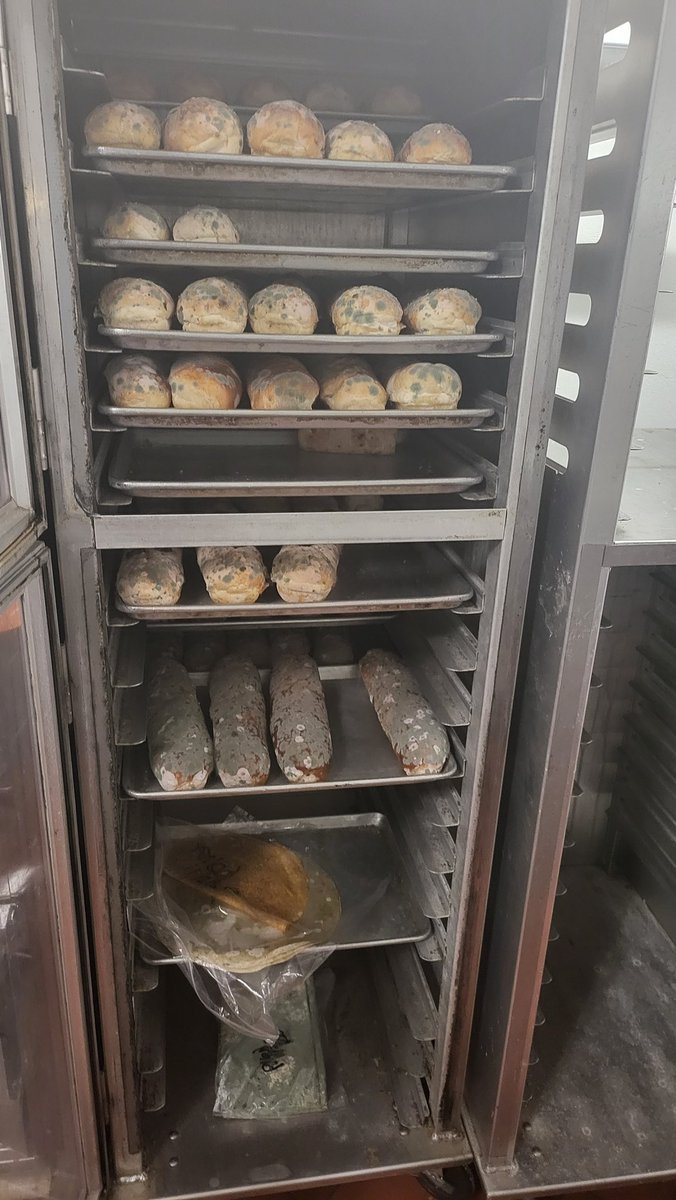 idle0095's tweet photo. This is absolutely disgusting. @SUBWAY how can you allow beckwith restaurants in New Hampshire to operate like this.  Hooksett @Walmart https://t.co/v4Uuo5ylre