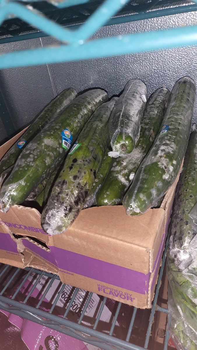 This is absolutely disgusting. <a href="/SUBWAY/">Subway®</a> how can you allow beckwith restaurants in New Hampshire to operate like this.  Hooksett <a href="/Walmart/">Walmart</a>