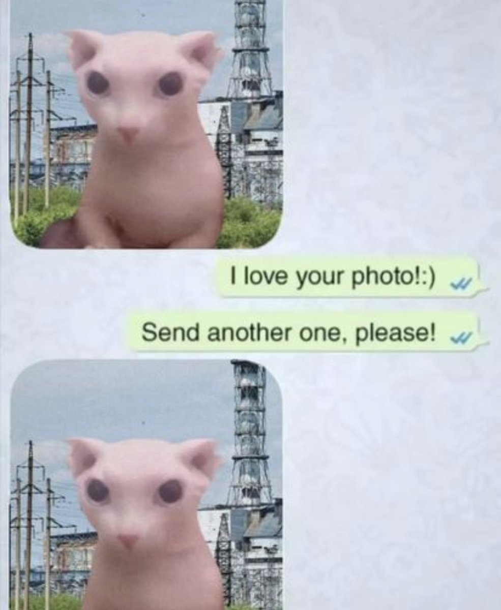 RespectfulMemes's tweet photo. https://t.co/DXZH8Yu1a2