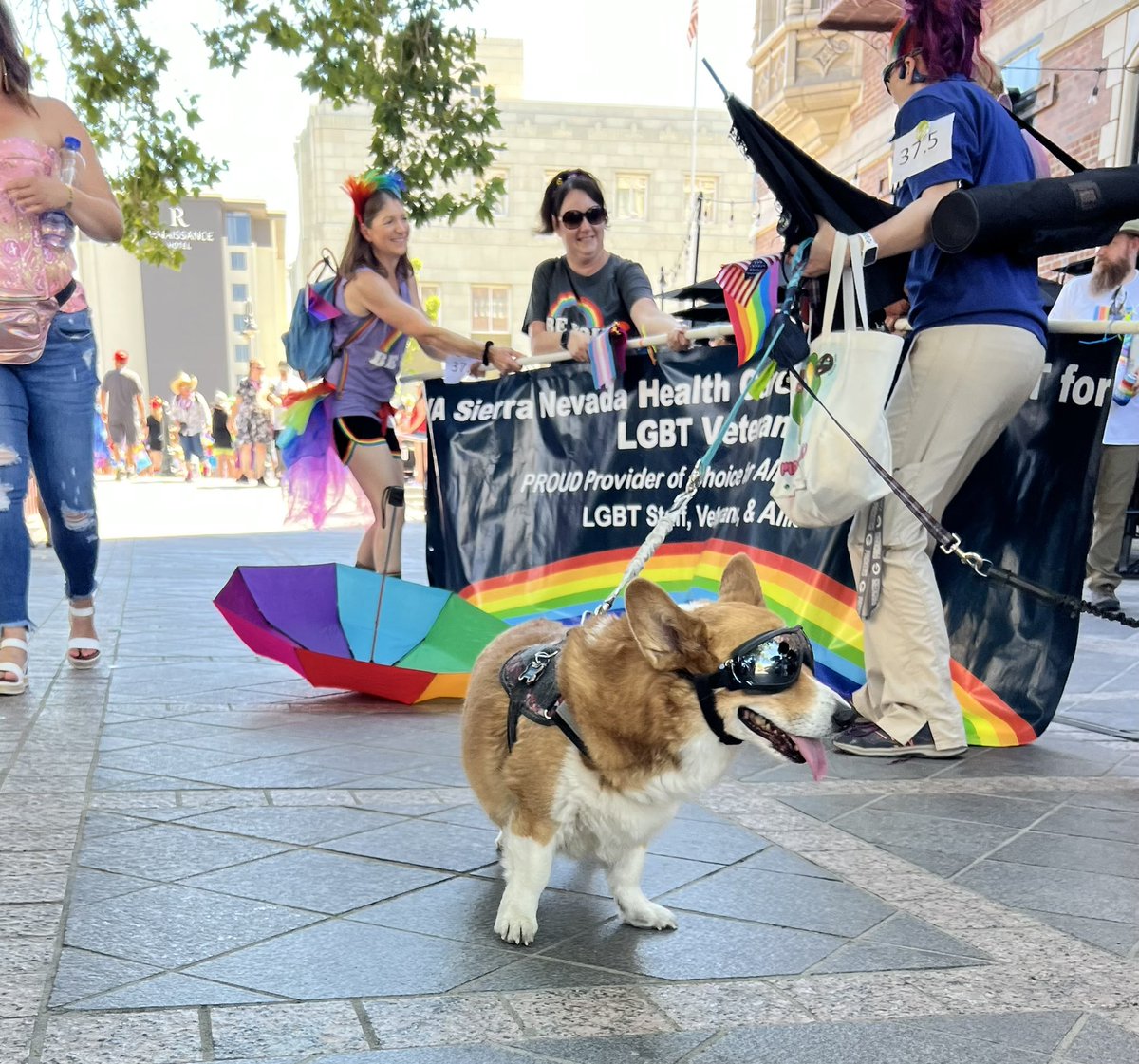What a fun time and an incredible turnout at the Northern Nevada Pride Parade! 🧡💚💜💙❤️💛
#Pride2022 #RenoPride #LoveIsLove 
<a href="/CityofReno/">City of Reno</a> <a href="/OurCenterReno/">Our Center</a> <a href="/MayorSchieve/">Mayor Hillary Schieve</a> <a href="/ashleydturney/">Ashley Turney</a>