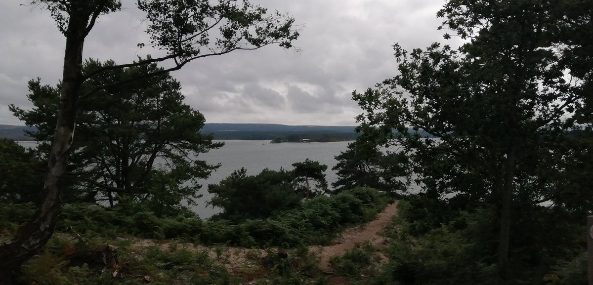 Spent a day at Brownsea Island and thought of you @georgecmcgavin!
Been missing your knowledgde and enthusiasm - any event/talk/lecture/anything coming up? 🐞🦗🦟🐝 #dorsetwildlifetrust #nationaltrust