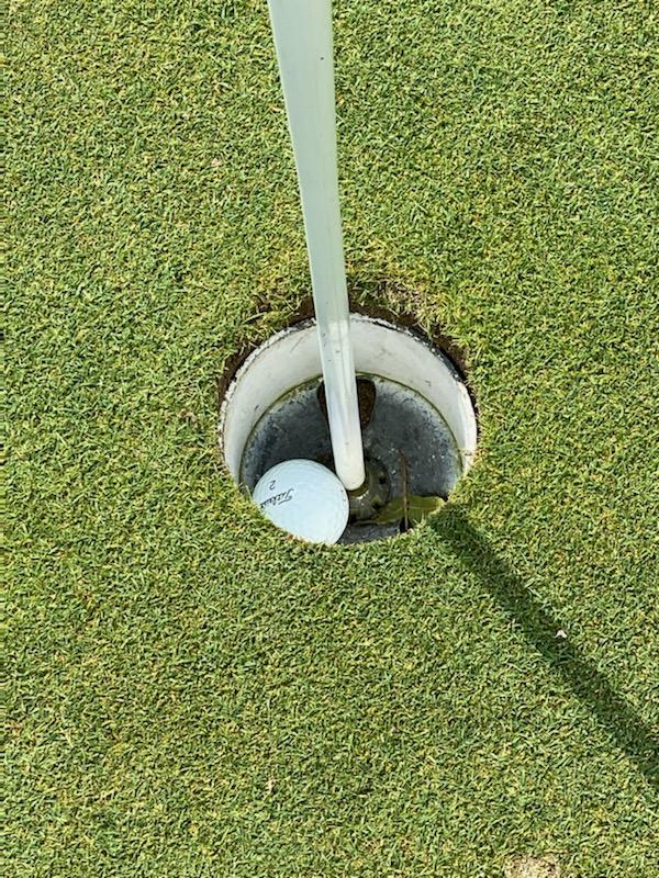 BobMoats's tweet photo. @gelong99 just hit a Hole in One on 4 West (Alcatraz) at @OtterCreekGC. 6 iron from 140 out. Nice work Greg...his witness had to drop to save double bogey. https://t.co/XhRRFhc6db