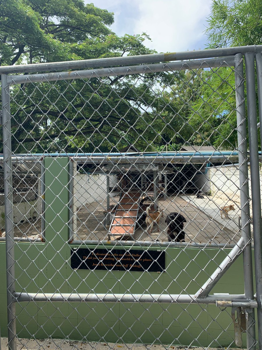 AdoDev's tweet image. hurlingforcancer.ie/?twclid=2-6wl7…