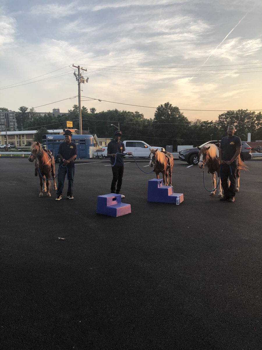 PoniesUnlimited's tweet photo. Need ponies for your next event? Well, look no farther. Reach out to us. #reallivecowboysandcowgirls https://t.co/FPRzVK1gLU https://t.co/UknGFix1cE