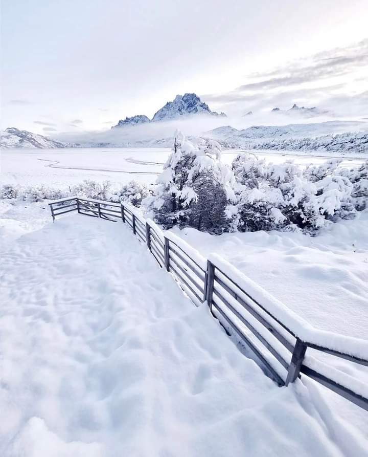 Un blanco perfecto en el Parque Nacional Torres del Paine 🙌❄🇨🇱

Foto: Sur_Enfoques

#turismoenchile #chileturismo #chiletravel #parquenacionaltorresdelpaine #torresdelpainenationalpark #torresdelpaine #viajarporchile
