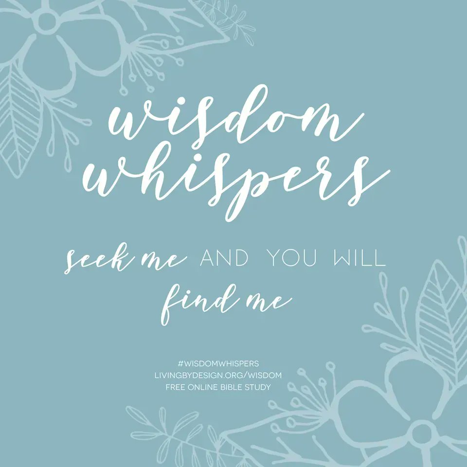 SarahLynneCR's tweet photo. 31-Day Bible Study through King Solomon with Sarah Koontz. Find out more here: https://t.co/p89jkIQteS #DigDeep #WisdomWhispers #OnlineBibleStudy #freebiblestudy via @SarahGeringer https://t.co/LkvNKwi28s