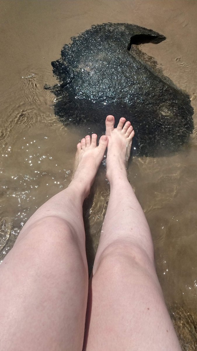 vspezinhorosa's tweet photo. Saudades de uma prainha
Tenho que ir novamente e tirar novas fotos 💖🥺 https://t.co/B5Z13HujWn
