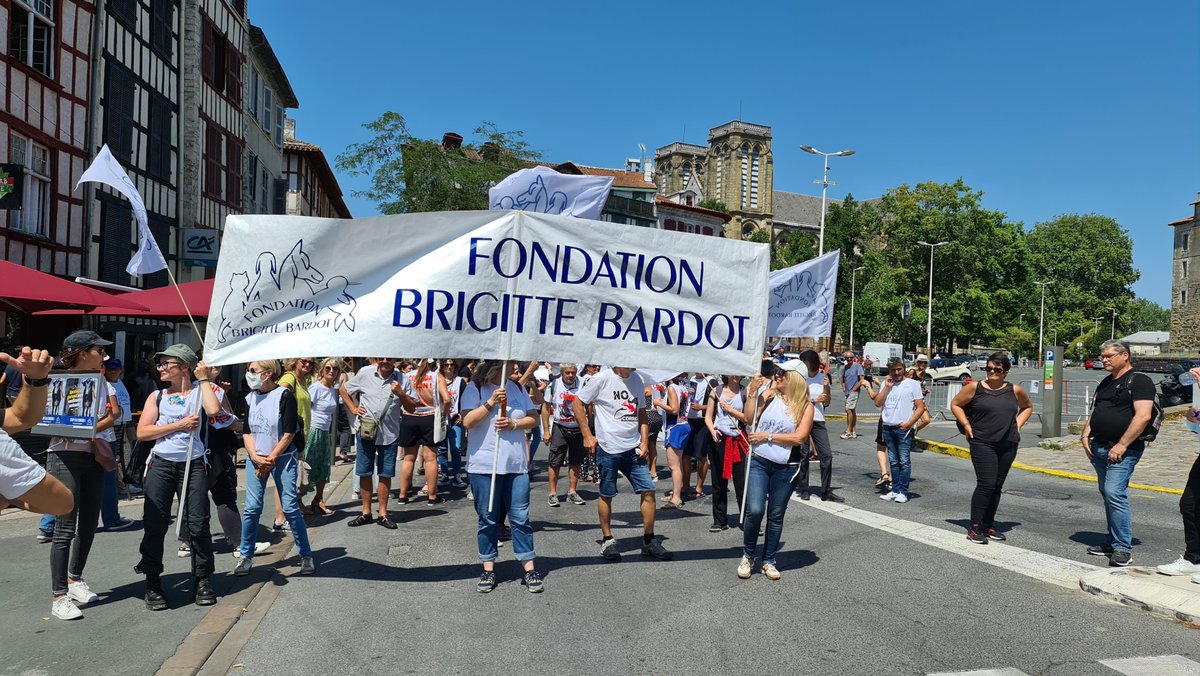 BeziersColbac's tweet photo. 👏 Merci bcp @CRAC_Europe &amp; @FBB_Officiel pour l'organisation de cette belle mobilisation à #Bayonne contre la #corrida !

😡 Jusqu'à quand faudra-t-il encore manifester pour que cesse une tradition qui érige en spectacle des actes de cruauté envers un animal ??

@EmmanuelMacron https://t.co/IT6PgwTJWM